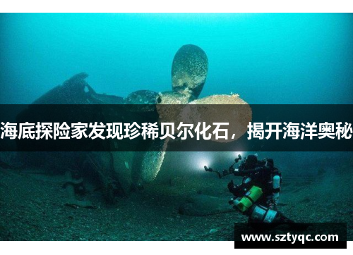 海底探险家发现珍稀贝尔化石，揭开海洋奥秘