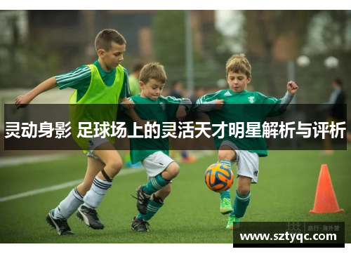 灵动身影 足球场上的灵活天才明星解析与评析