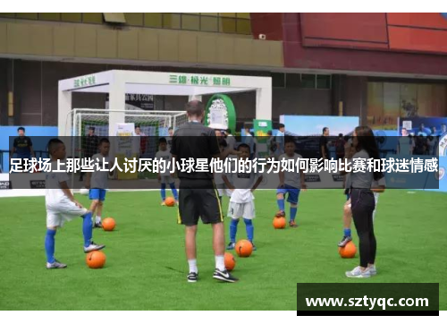足球场上那些让人讨厌的小球星他们的行为如何影响比赛和球迷情感