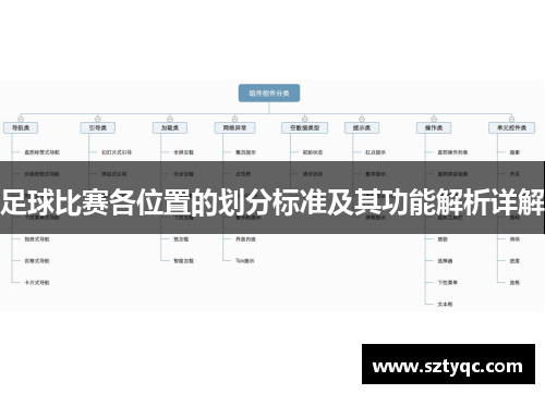 足球比赛各位置的划分标准及其功能解析详解