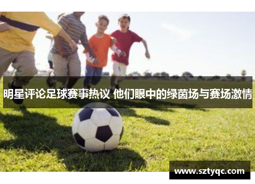 明星评论足球赛事热议 他们眼中的绿茵场与赛场激情
